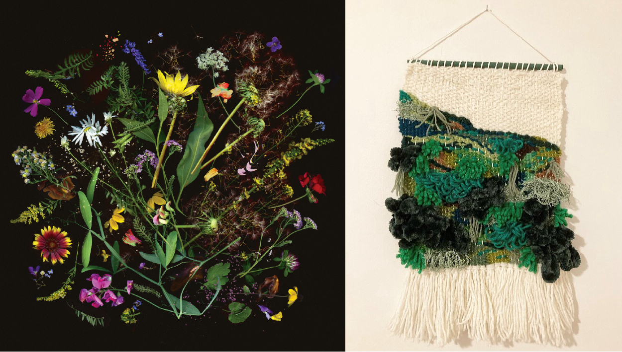 two images (left) depicts what looks like colourful pressed flowers on a black background (right) a wall tapestry with lots of greens and tuffs depicting the niagara escarpment